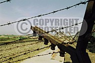 Mauthausen Barbed Wire Fence 0006