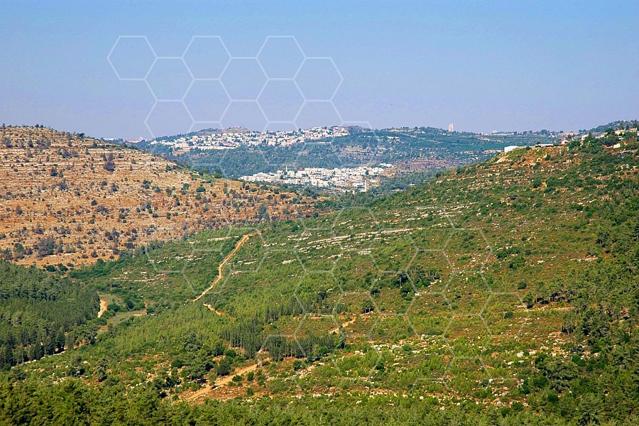 Judaean Hills 0024