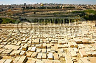 Jerusalem Old City View From Mt Of Olives 024