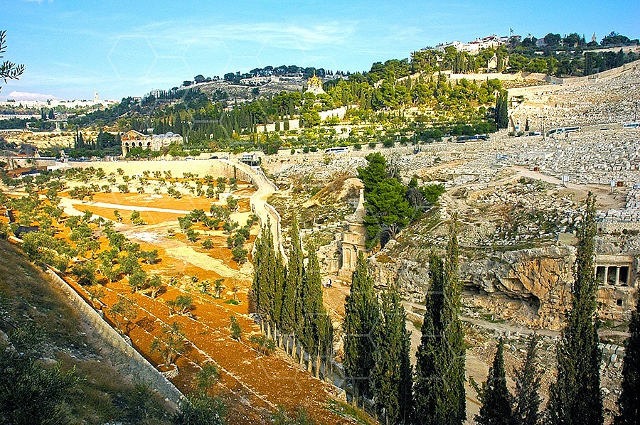 Jerusalem Kedron Valley 006