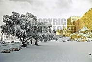 Jerusalem Snow 001