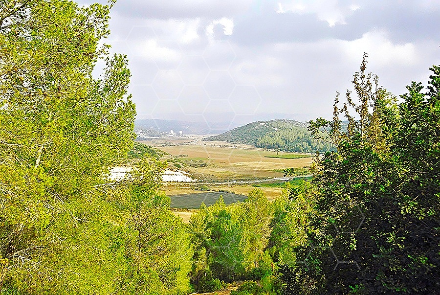 Valley of Elah 006