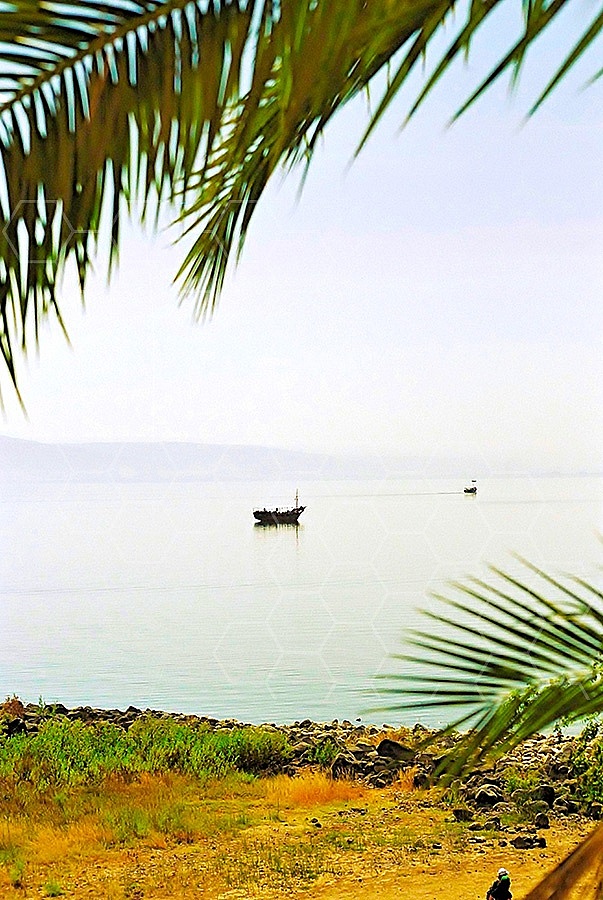 Sea Of Galilee 022