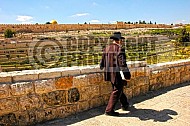 Jerusalem Mount Of Olives 011