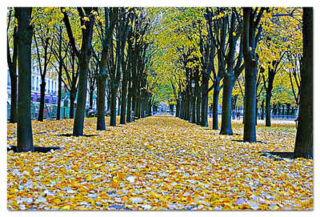 French Paris Foliage 0001