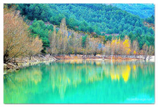 spain foliage print Spain Foliage 0001