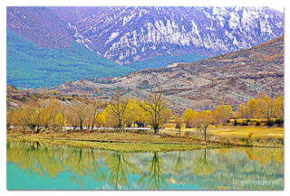 spain foliage print Spain Foliage 0002