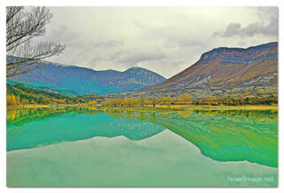 spain foliage print Spain Foliage 0003