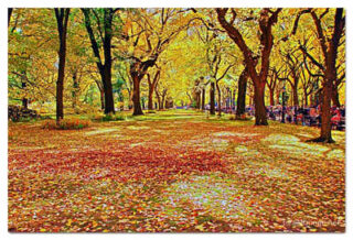 usa new york city central park foliage USA New York City Central Park Foliage 0001