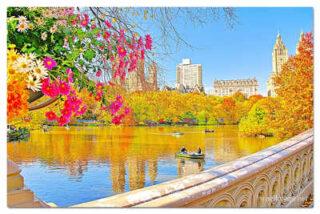 usa new york city central park foliage print USA New York City Central Park Foliage Reflections 0001