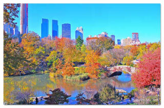 usa new york city central park foliage print USA New York City Central Park Foliage Reflections 0002