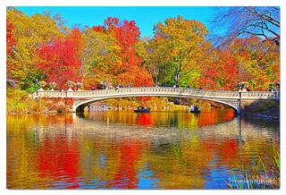 usa new york city central park foliage print USA New York City Central Park Foliage Reflections 0003