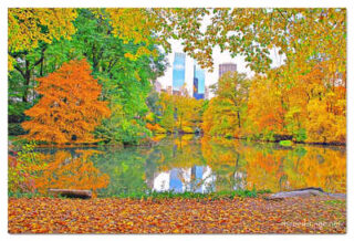 usa new york city central park foliage print USA New York City Central Park Foliage Reflections 0004
