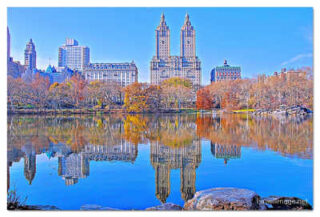 usa new york city central park foliage print USA New York City Central Park Foliage Reflections 0005