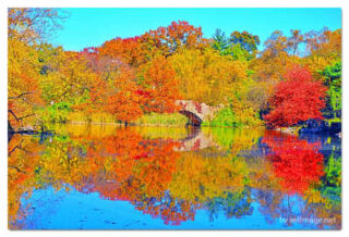 usa new york city central park foliage print USA New York City Central Park Foliage Reflections 0006
