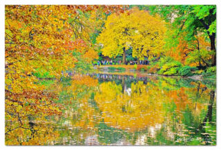 USA New York City Central Park Foliage Reflections 0007