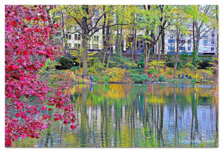 USA New York City Central Park Foliage Reflections 0011