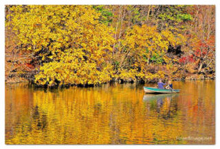 USA New York City Central Park Foliage Reflections 0014