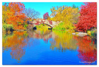 USA New York City Central Park Foliage Reflections 0016