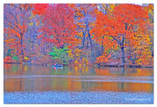 USA New York City Central Park Foliage Reflections 0018