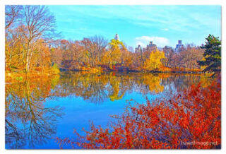 USA New York City Central Park Foliage Reflections 0020