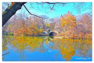 USA New York City Central Park Foliage Reflections 0021