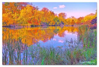 USA New York City Central Park Foliage Reflections 0022