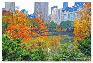 USA New York City Central Park Foliage Reflections 0023