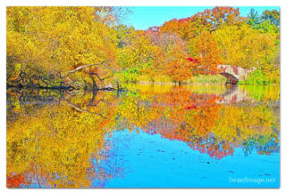 USA New York City Central Park Foliage Reflections 0024