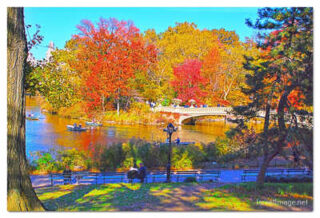 USA New York City Central Park Foliage Reflections 0025
