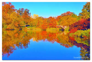 USA New York City Central Park Foliage Reflections 0028