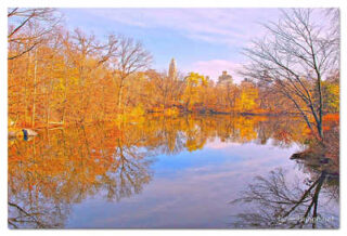 USA New York City Central Park Foliage Reflections 0030