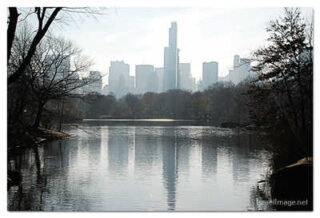 USA New York City Central Park Foliage Reflections 0031