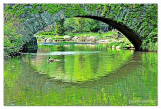 USA New York City Central Park Reflections 0002