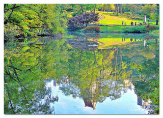 usa new york city central park foliage print USA New York City Central Park Reflections 0005