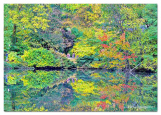 usa new york city central park foliage print USA New York City Central Park Reflections 0006