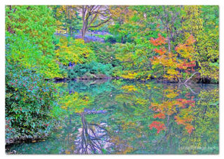 usa new york city central park foliage print USA New York City Central Park Reflections 0007