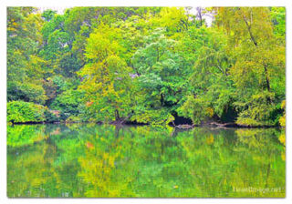 usa new york city central park foliage print USA New York City Central Park Reflections 0008