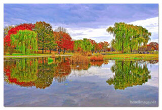 USA Washington DC Foliage 0002
