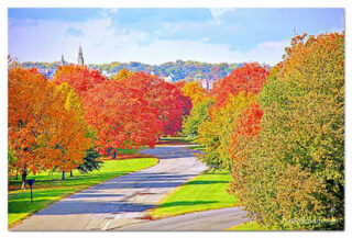 USA Washington DC Foliage 0004