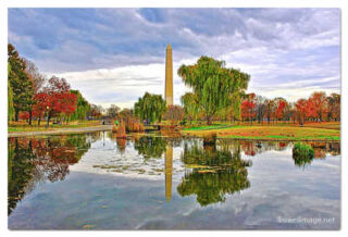 USA Washington DC Foliage 0005