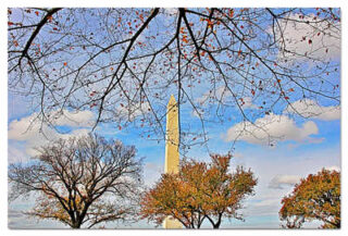 poster-usa washington dc foliage 0011th USA Washington DC Foliage 0011
