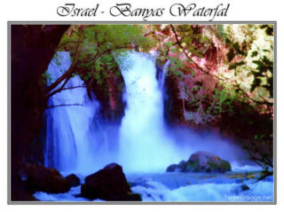 israel banias waterfall posters Israel Banias Waterfall 001