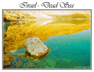 israel dead sea posters Israel Dead Sea 004