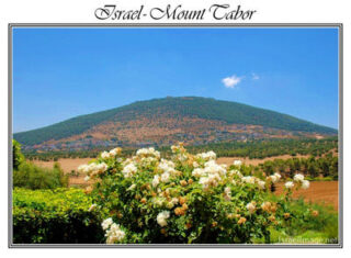 israel mount tabor posters Israel Mount Tabor 001