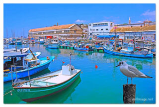 Israel Jaffa Yafo 0003