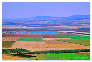 Israel Jezraeel Valley 0001