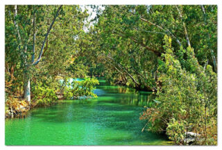 Israel Jordan River 0001