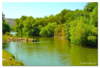 Israel Jordan River 0004