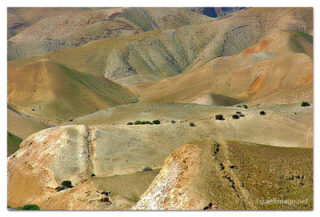 Israel Judean Desert 0005